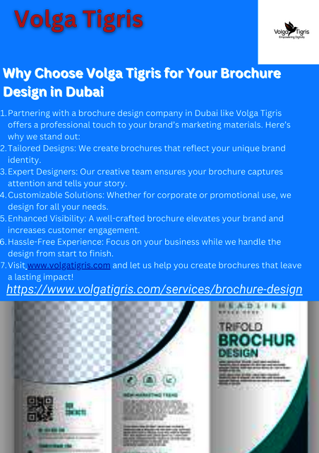 Why Choose Volga Tigris for Your Brochure Design i Volga Tigris