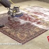 professional rug cleaning - The Steam Team