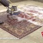 professional rug cleaning - The Steam Team