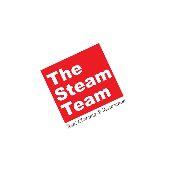 The Steam Team The Steam Team