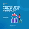 WordPress Hosting – Fast, S... - Domainesia