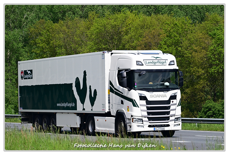 Landgeflügel EL R8408-BorderMaker - 