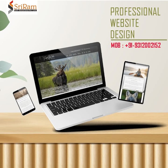 website design Picture Box