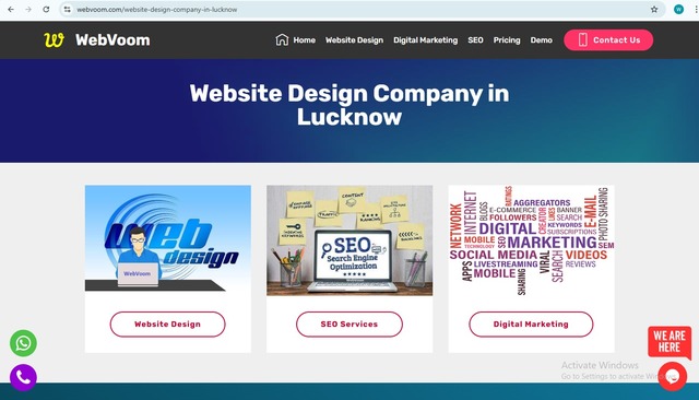 Website Design Company in Lucknow - WebVoom Picture Box