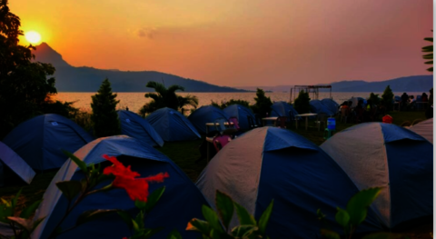 pawnacapming - Anonymous