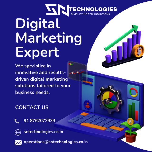 Digital Marketing SN Technologies Picture Box