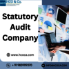 Statutory audit company - Picture Box