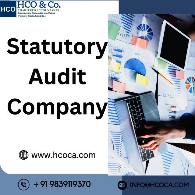 Statutory audit company Picture Box