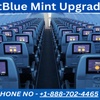 jetblue1 - Picture Box