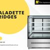 Top-Quality Saladette Fridges – Freshness Guaranteed