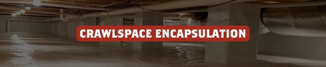 Protect Your Home with Crawl Space Encapsulation drleescrawlspace.com