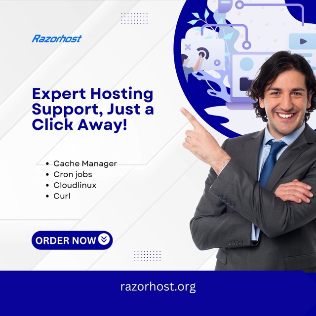 Expert Hosting Support Just a Click Away-Razorhost RazorHost