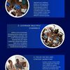 Blue Modern Business Infogr... - Picture Box