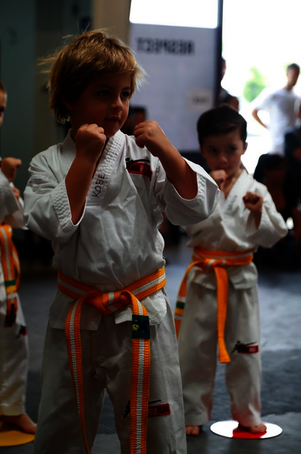 elWVzDK Black Belt Plus Martial Arts Centre Gold Coast