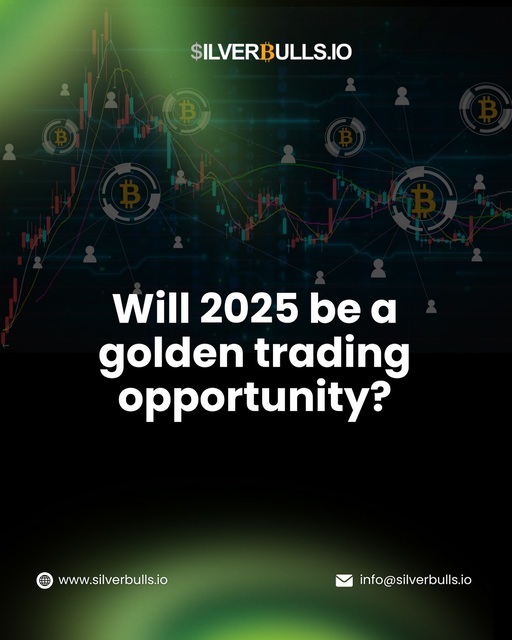 silverbulls Picture Box