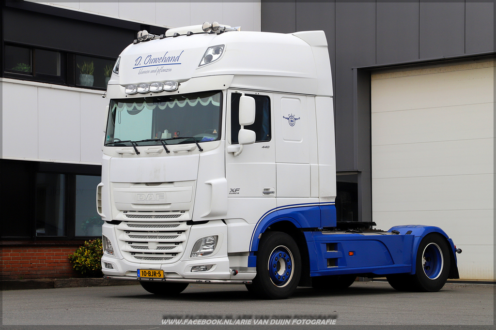 jadat (14)-BorderMaker - 