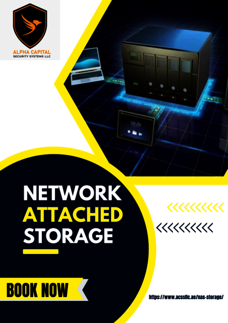 Network Attached Storage Picture Box