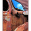 old dodge truck - Automobile