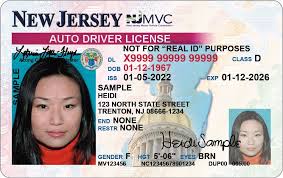 download Understanding the California Driver's License A Comprehensive Guide