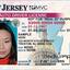 download - Understanding the California Driver's License A Comprehensive Guide