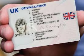 images (1) Understanding the California Driver's License A Comprehensive Guide