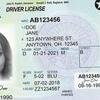 Understanding the California Driver's License A Comprehensive Guide