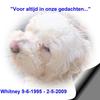 Whitney 9-6-95 2-5-09 - In huis 2009