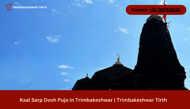 Add a heading (18) Picture Box