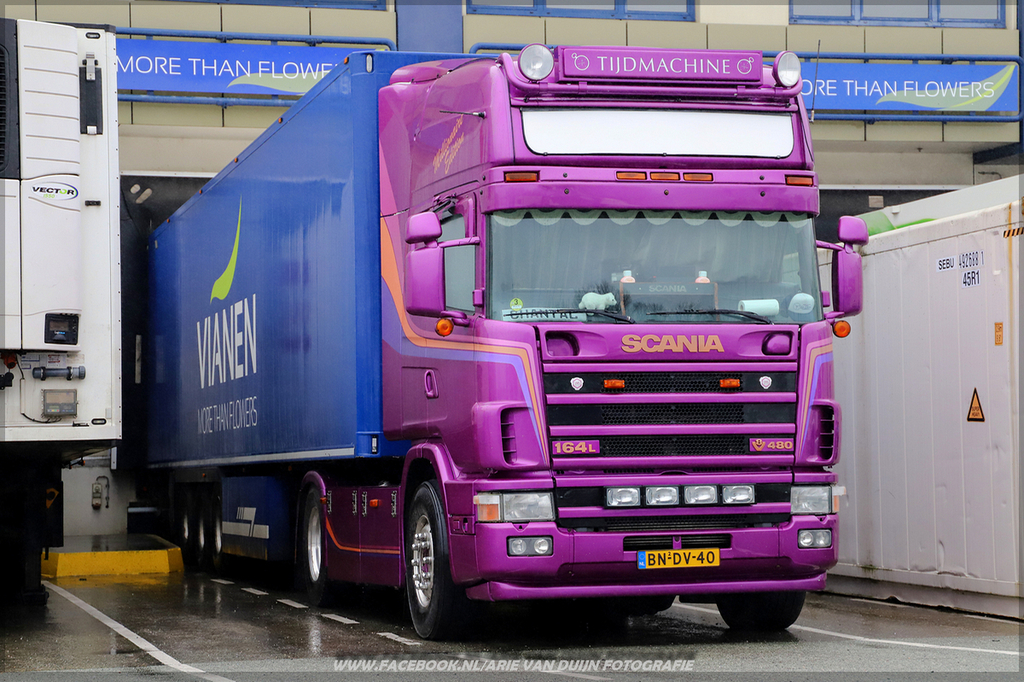 zatte (7)-BorderMaker - 