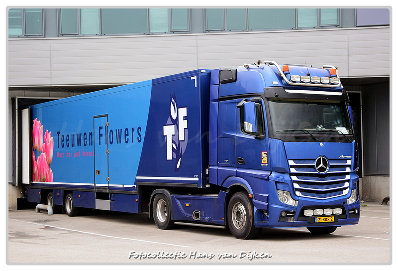 Teeuwen Flowers 21-BDR-2-BorderMaker - 