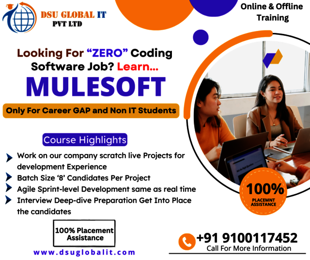 mulesoft 1 25 feb 2025 Picture Box