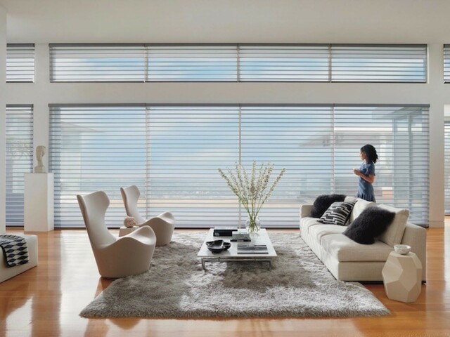 Window shades online PSI Window Coverings