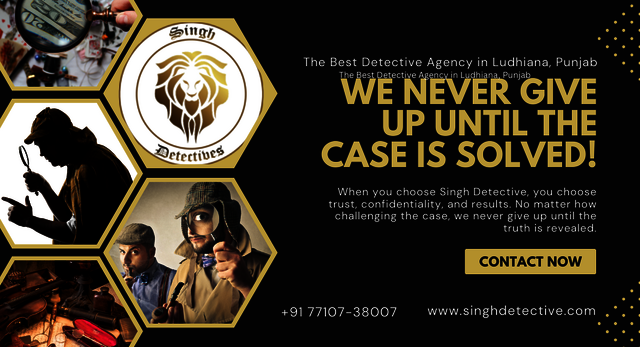 The Best Detective Agency in Ludhiana, Punjab Picture Box