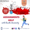 University of Lincoln Assig... - Picture Box