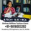 Online University Tutor