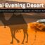 desert safari - Picture Box