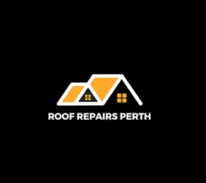 logo Professional Roof Repairs Perth