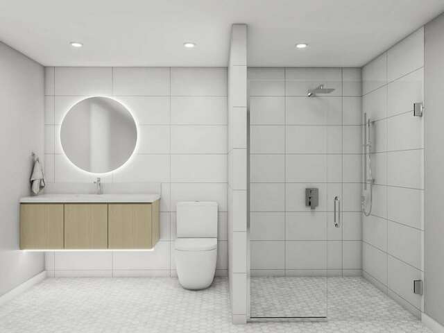 Frameles glas shower doors Shower glass doors