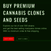 getseedsrighthere.com - Get Seeds Righthere