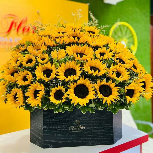 Mejor Floristería en Santo Domingo Picture Box