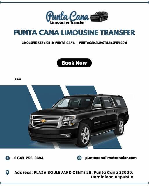 Limousine companies in Punta Cana Picture Box