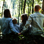 Life Insurance 4u quote - Life Insurance4u