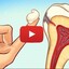 weyt - Cure Bad Breath & Gum Disease Fast – Proven Solutions!
