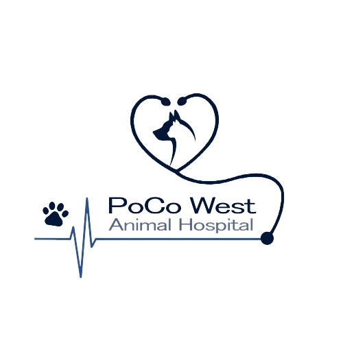PoCo West Animal Hospital PoCo West Animal Hospital