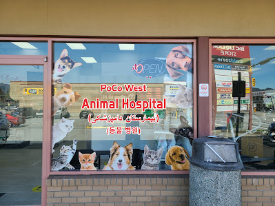 Ultrasound PoCo West Animal Hospital