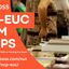 NCP-EUC Exam Dumps (3) - Get Ready for NCP-EUC Exam: Pass with DumpsBoss Dumps
