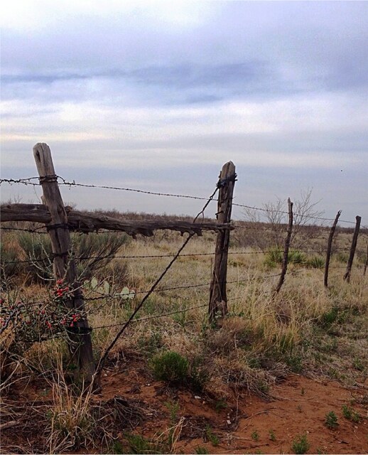 septic system design septic system design