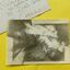 P1450842 p - mjj06