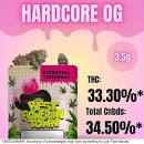 images Essential Torrance