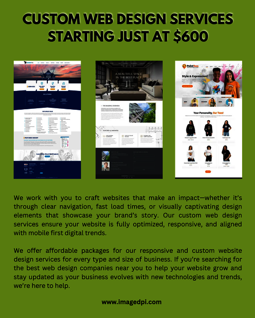 CUSTOM WEB DESIGN SERVICES STARTING JUST AT $600 Picture Box